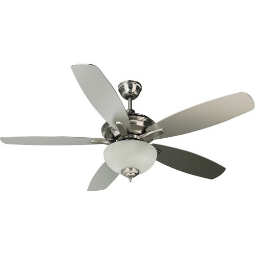 52" Ceiling Fan in Stainless Steel with Custom Blades and Optional Light Kit