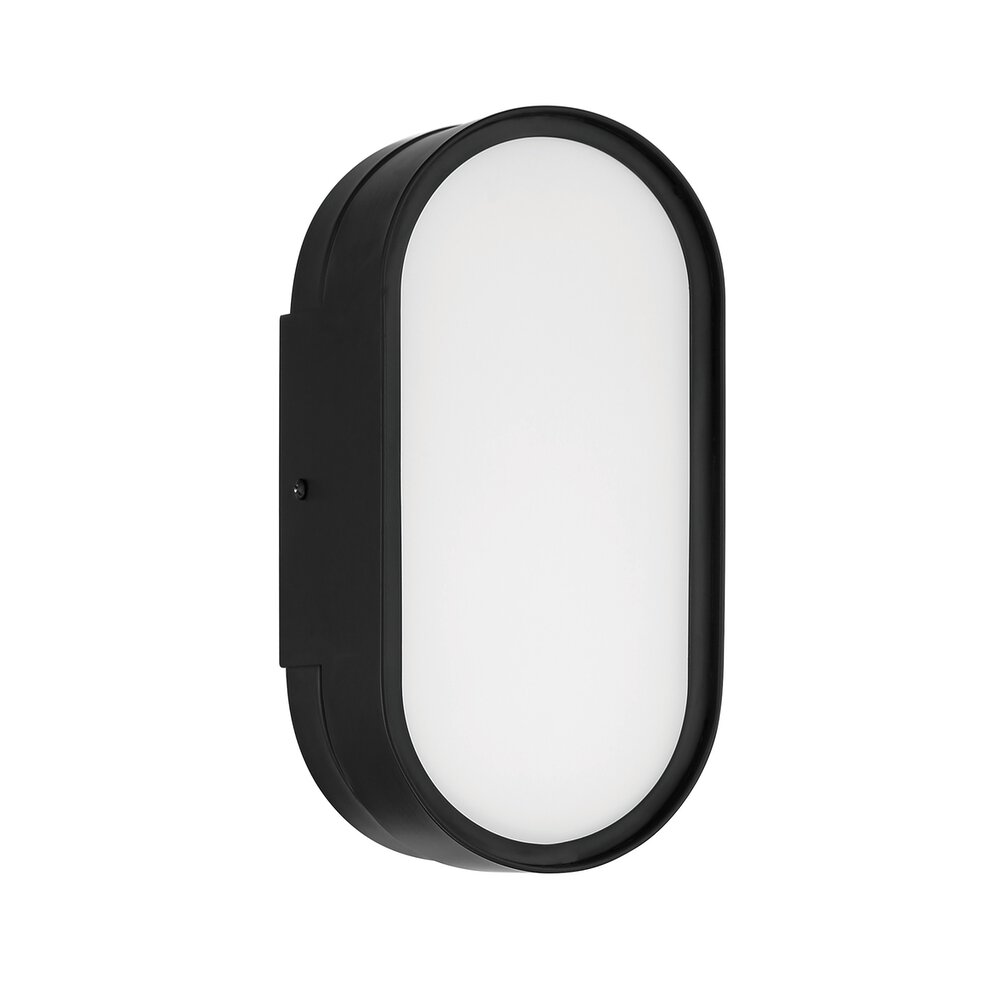 Led Wall Sconce In Flat Black And Frost White Glass