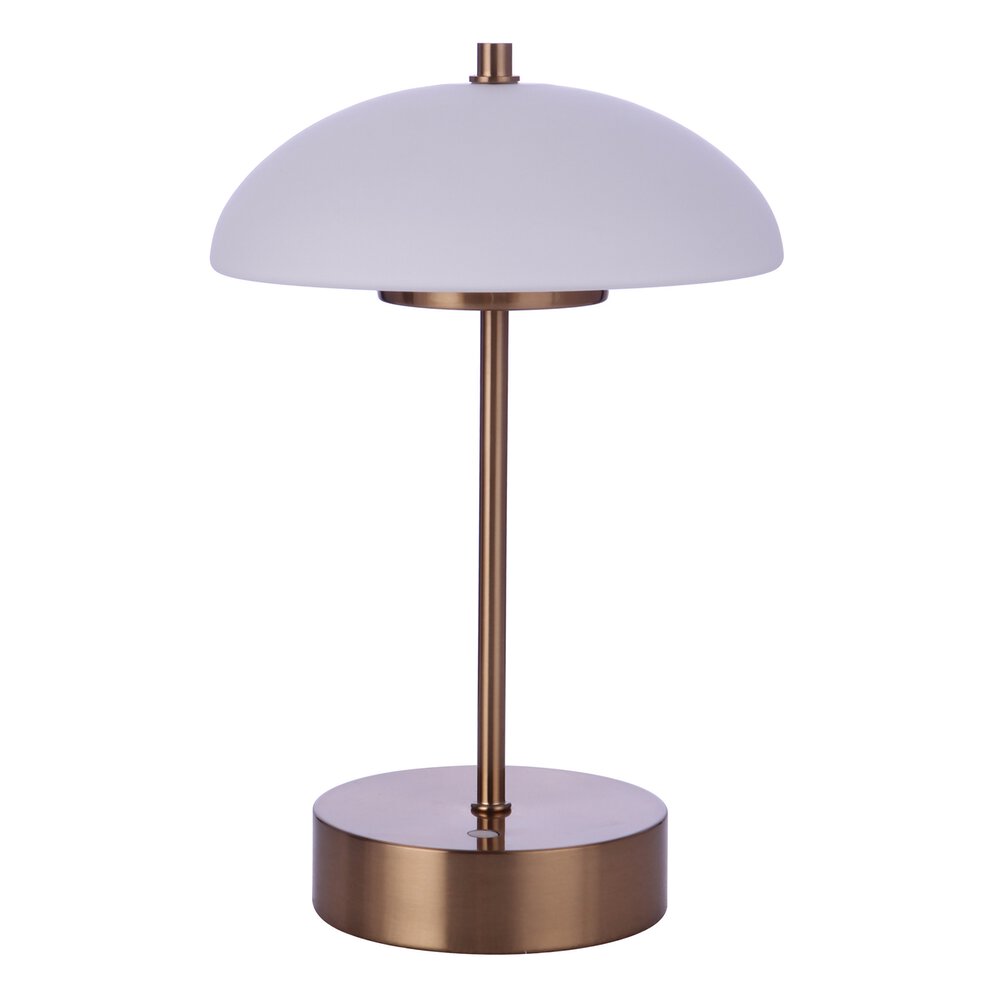 Mari Indoor/Outdoor Rechargeable Dimmable LED Portable Lamp in Satin Brass