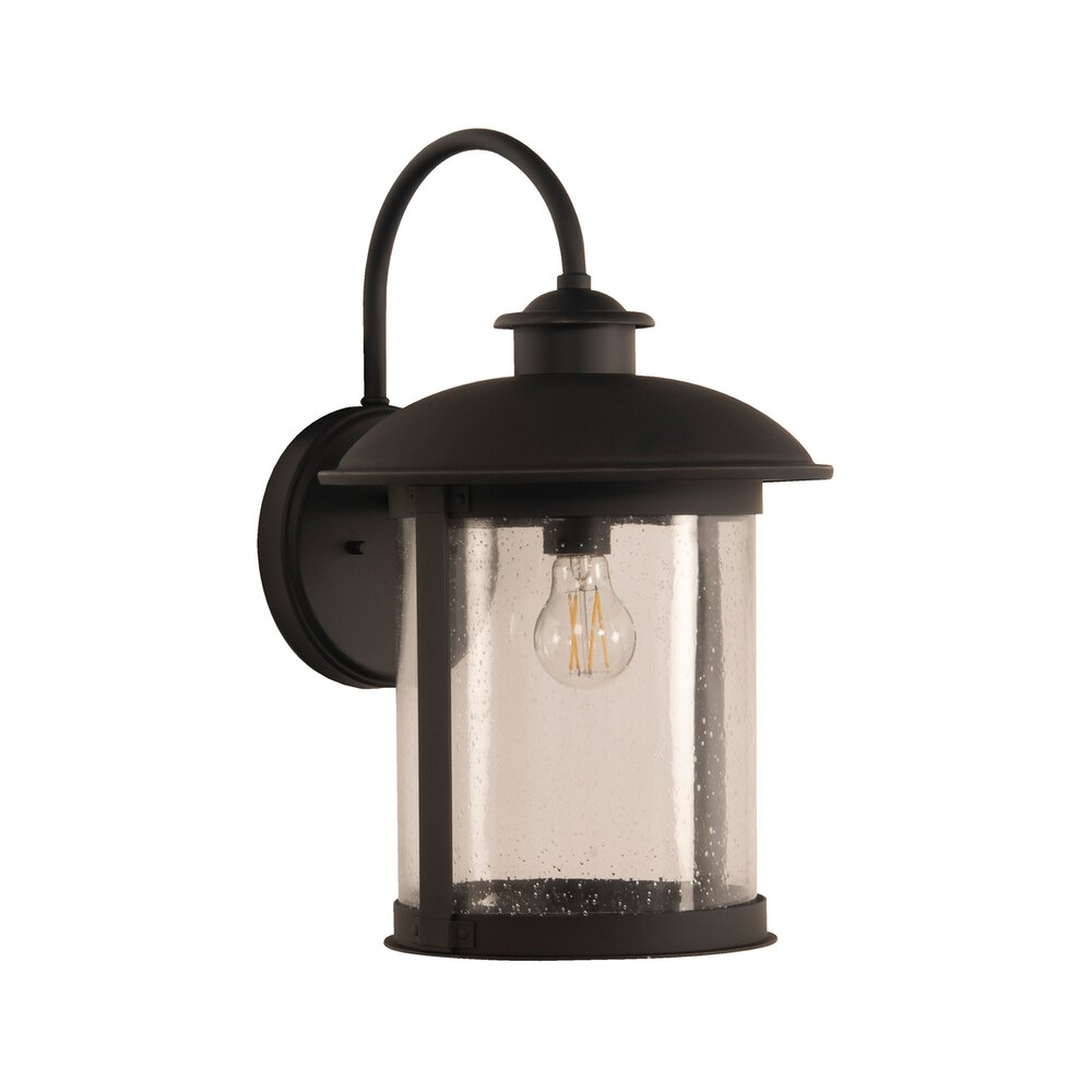Large 1 Light Outdoor Lantern In Dark Bronze Gilded And Seeded Glass