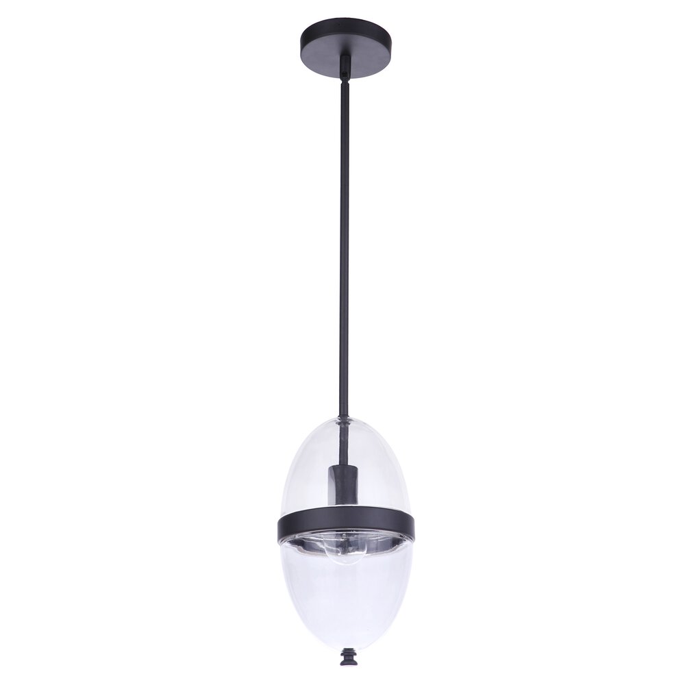 1 Light Outdoor Pendant In Midnight And Clear Glass