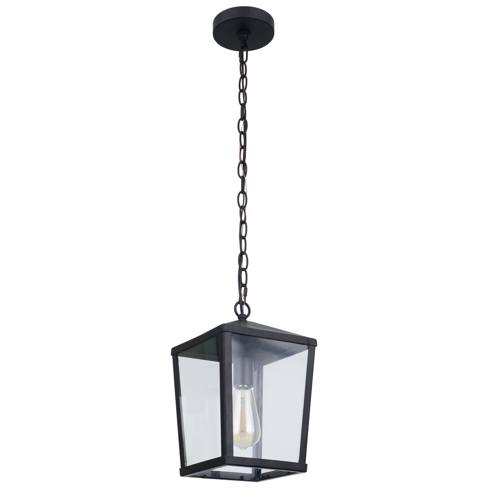 Outdoor Pendant 1 Light In Midnight And Clear Glass