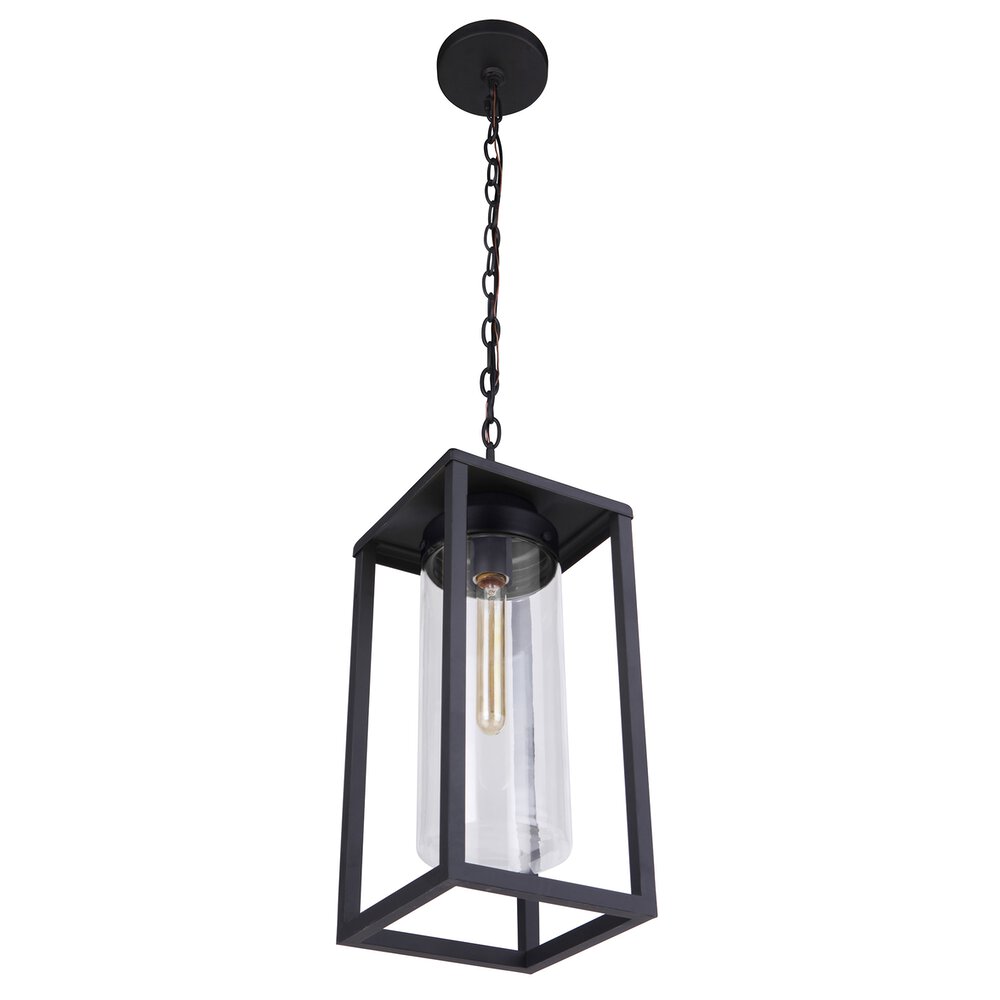 Outdoor 1 Light Pendant In Midnight And Clear Glass