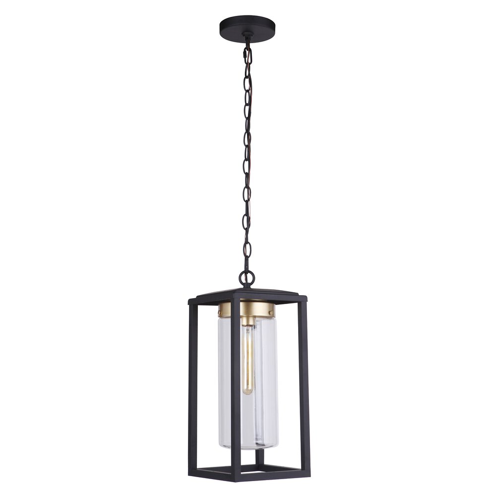 Outdoor Pendant In Midnight Satin Brass And Clear Glass