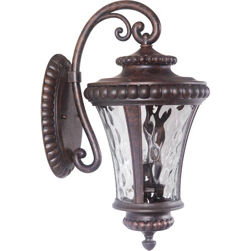 10" Exterior Wall Light in Peruvian Bronze with Clear Hammered Glass