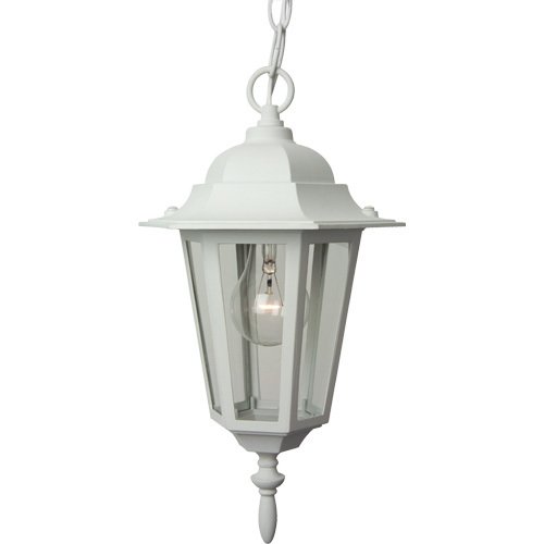 8" Hanging Exterior Light in Matte White with Clear Glass