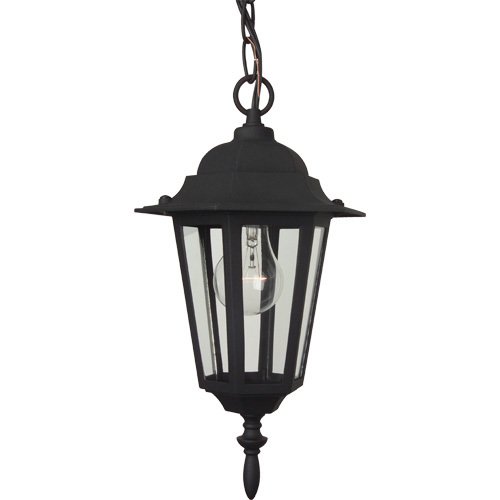 8" Hanging Exterior Light in Matte Black with Clear Glass