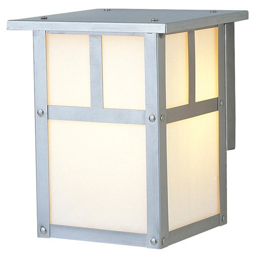 6" Exterior Wall Light in Stainless Steel with Frosted Glass