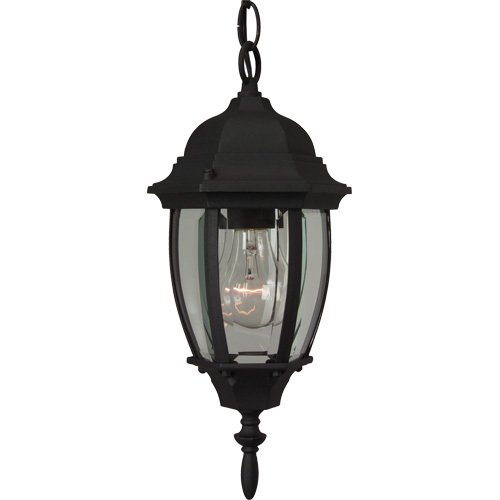6 1/2" Hanging Exterior Light in Matte Black with Clear Beveled Glass