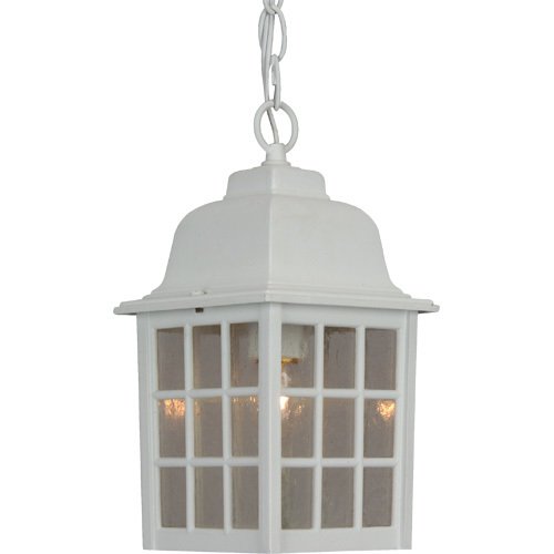 6" Hanging Exterior Light in Matte White with Seeded Glass