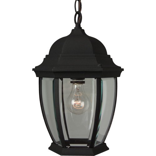 9 1/2" Hanging Exterior Light in Matte Black with Clear Beveled Glass