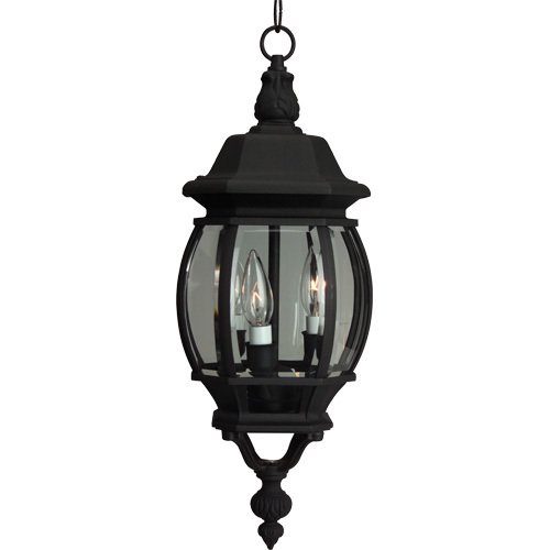 8" Hanging Exterior Light in Matte Black with Clear Beveled Glass