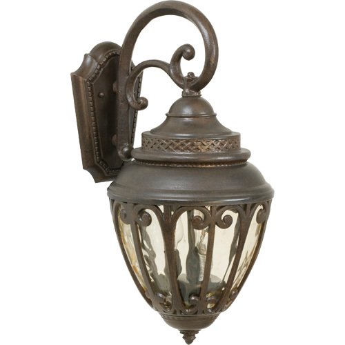 10" Exterior Wall Light in Aged Bronze with Champagne Hammered Glass