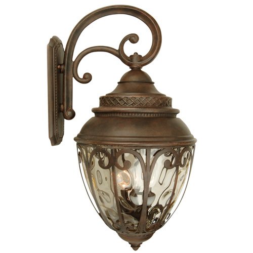 14" Exterior Wall Light in Aged Bronze with Champagne Hammered Glass