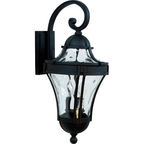 11" Exterior Wall Light in Matte Black with Clear Hammered Glass