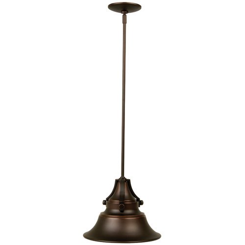 12" Hanging Exterior Light in Oiled Bronze Gilded