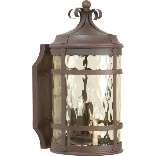 9 15/16" Exterior Wall Light in Rustic Iron with Hammered Champagne Glass