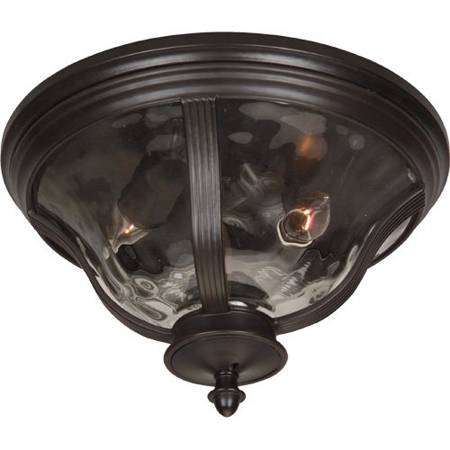 14" Flush Mount Exterior Light in Oiled Bronze with Hammered Clear Glass
