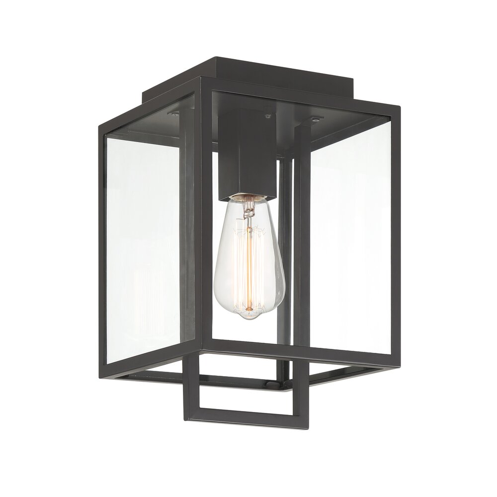 8" 1-Light Modern Outdoor Flush Mount in Matte Black with Clear Glass Shade