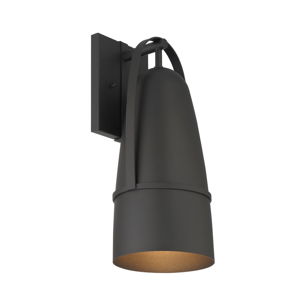 18" 1-Light Modern Outdoor Wall Lantern in Black with Dark Sky Metal Shade