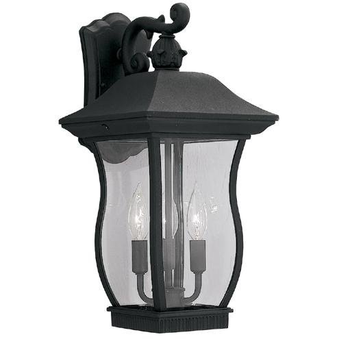 Exterior Wall Lantern in Black with Clear