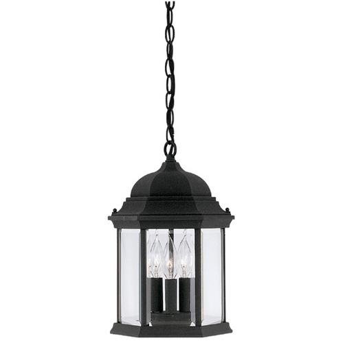 Exterior Hanging Lantern in Black with Clear