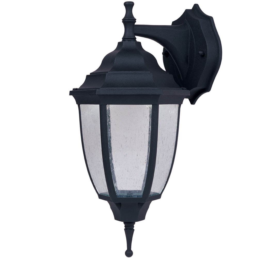 6" LED Wall Lantern in Black with Clear Seedy