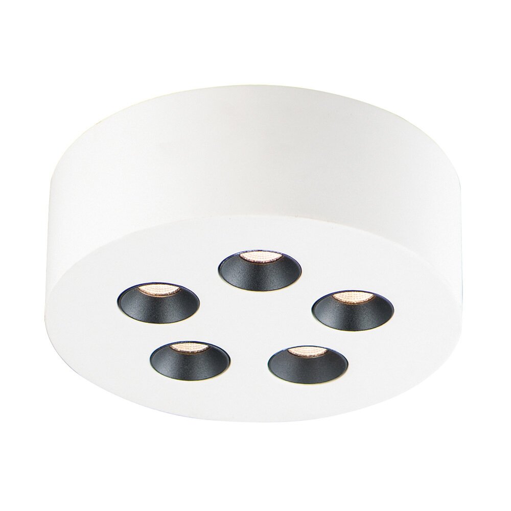 5-Light LED Flush Mount in White