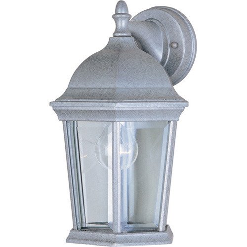 8" 1-Light Outdoor Wall Lantern in Pewter