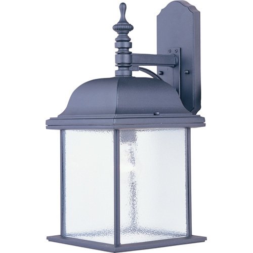 9" 1-Light Outdoor Wall Lantern in Black