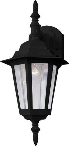 8" 1-Light Outdoor Wall Mount in Black with Clear Glass