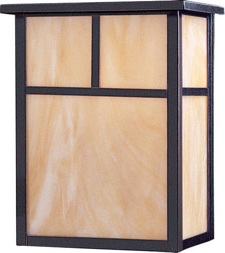 9" 2-Light Outdoor Wall Lantern in Burnished with Honey Glass