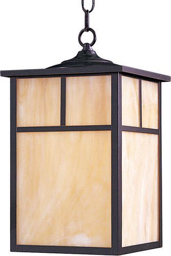 9" 1-Light Outdoor Hanging Lantern in Burnished with Honey Glass