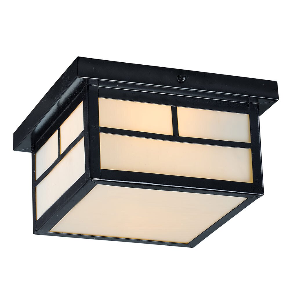 9" 2-Light Outdoor Ceiling Mount in Black with White Glass