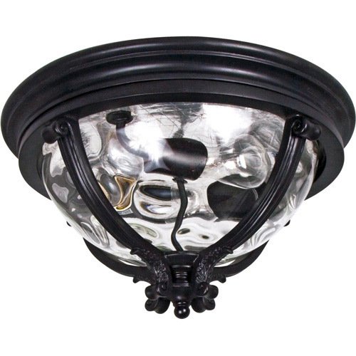 16" 3-Light Outdoor Ceiling Mount in Black with Water Glass