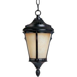 Odessa LED 1-Light Outdoor Hanging Lantern in Espresso