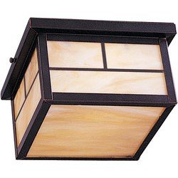 Coldwater LED 2-Light Outdoor Ceiling Mount in Burnished