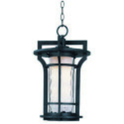 Oakville LED 1-Light Outdoor Hanging Lantern in Black Oxide