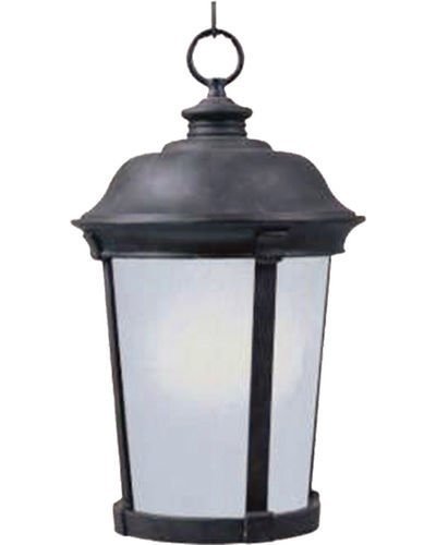 12" Energy Star 1-Light Outdoor Hanging Lantern in Bronze with Frosted Seedy Glass