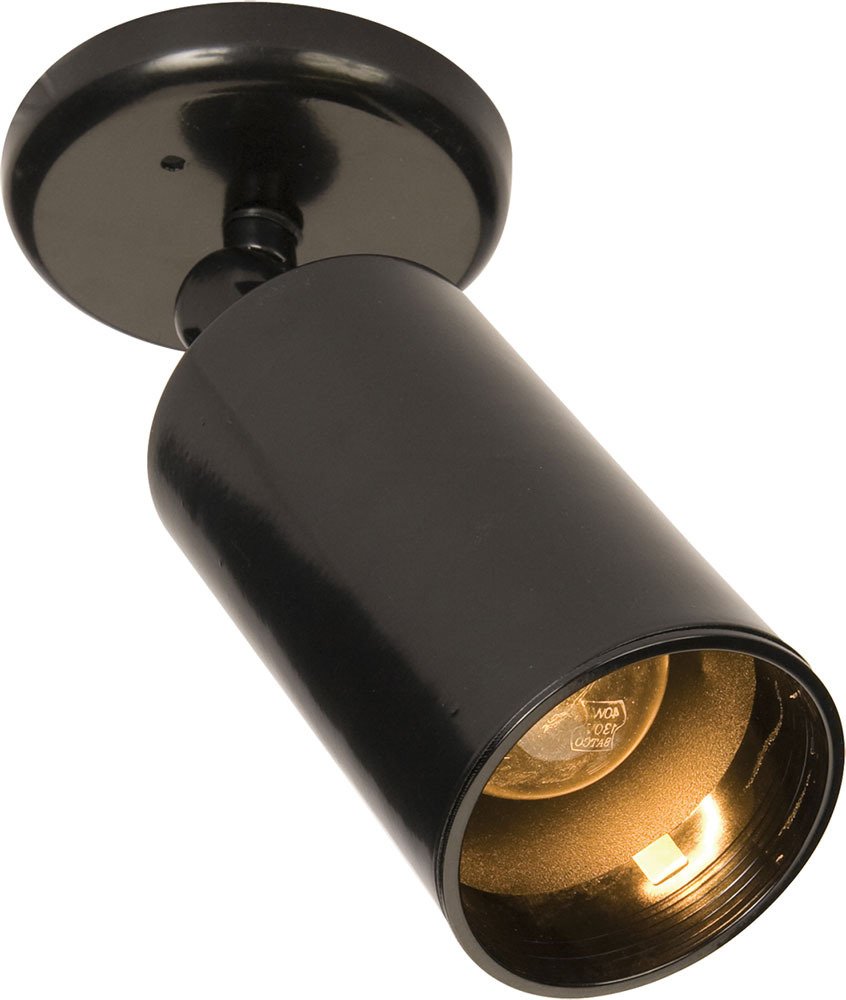 1-Light Can Wall/Flush Mount in Black