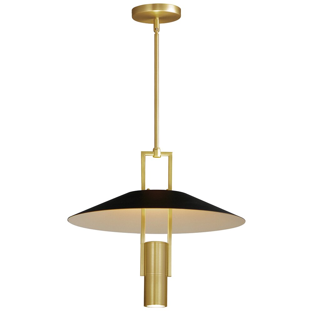 2-Light LED Pendant in Satin Brass & Black