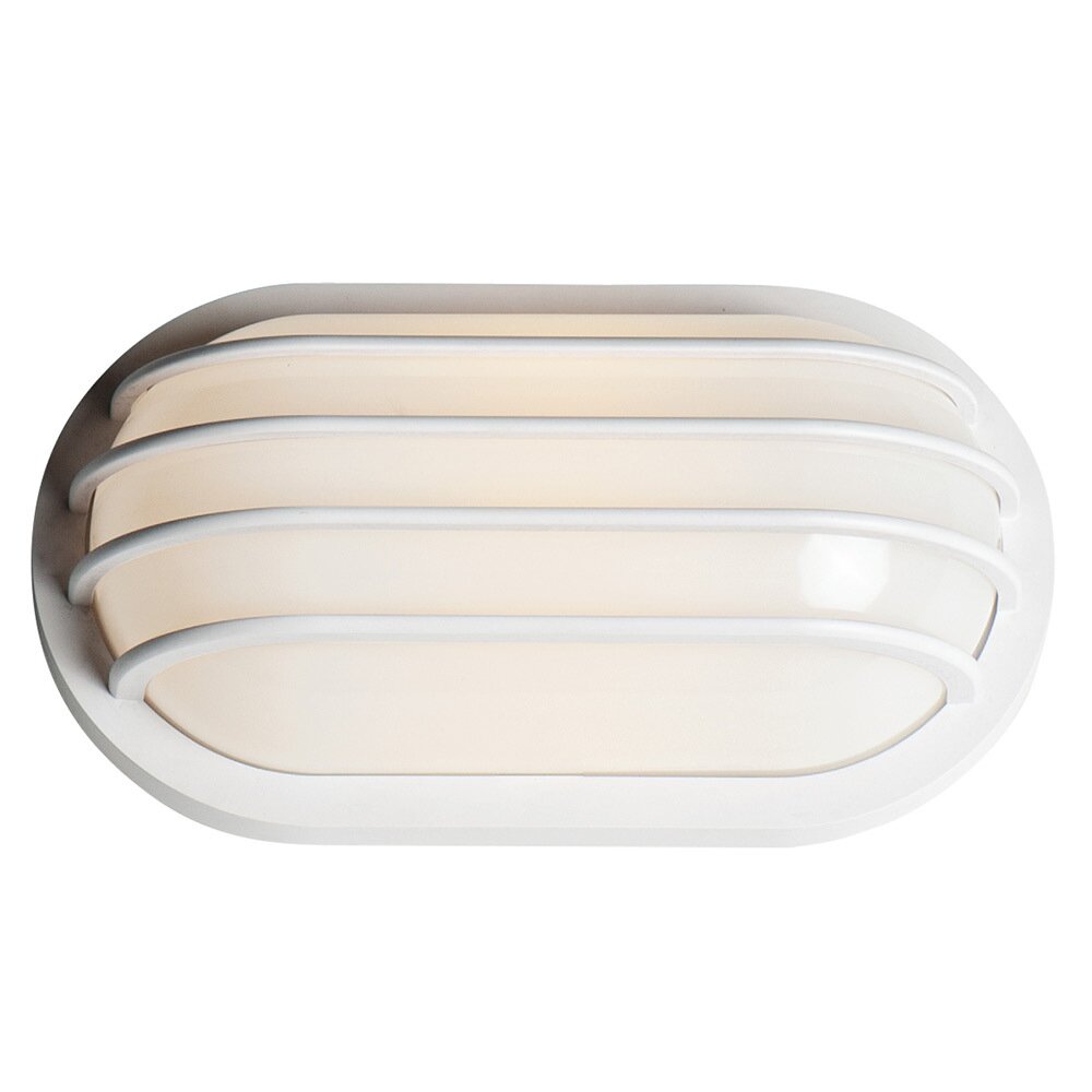 1-Light Outdoor Wall Sconce in White