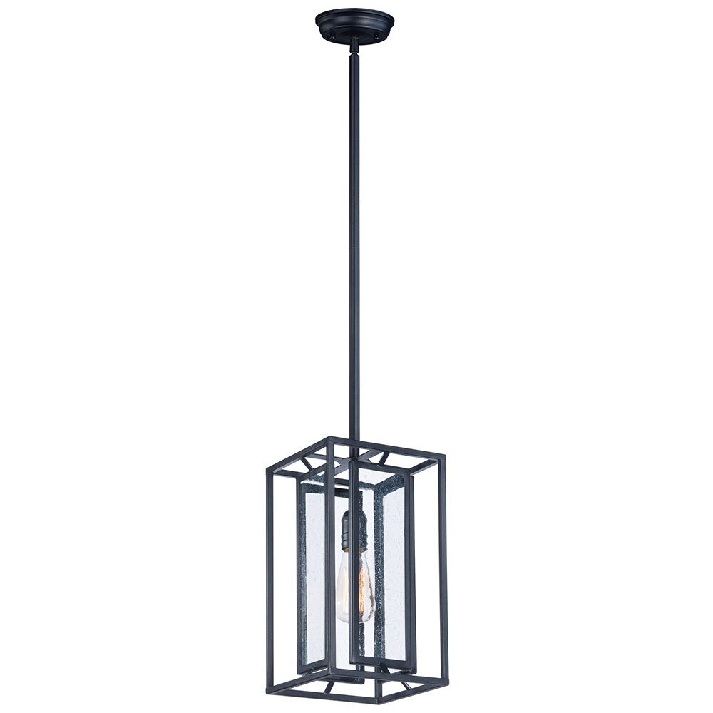 1-Light Pendant with Bulb in Black
