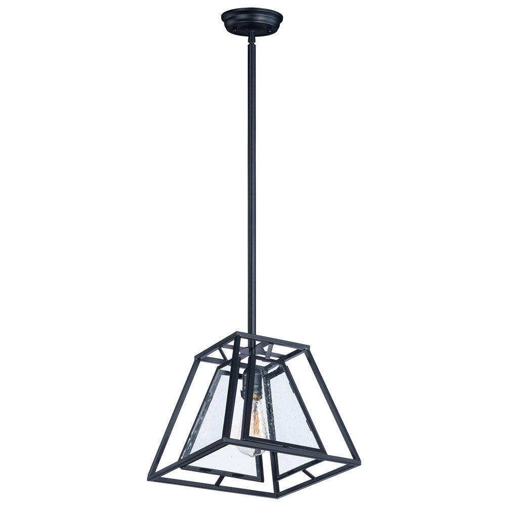1-Light Pendant with Bulb in Black
