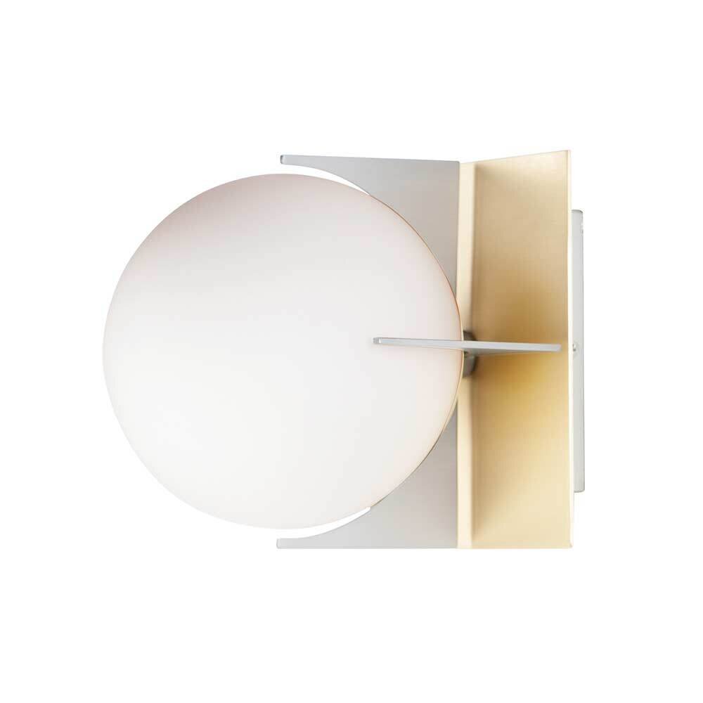 1-Light Wall Sconce in Satin Brass with Brushed Platinum