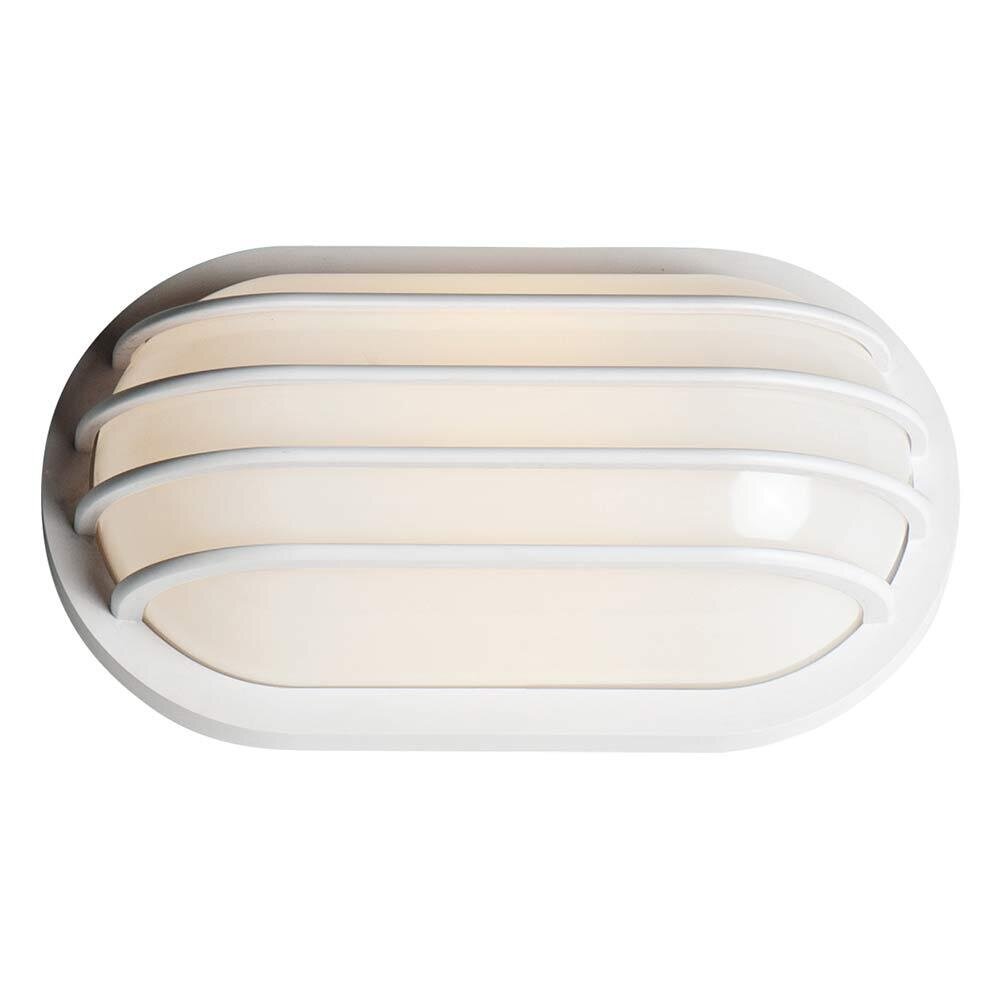 1-Light LED Outdoor Wall Sconce in White