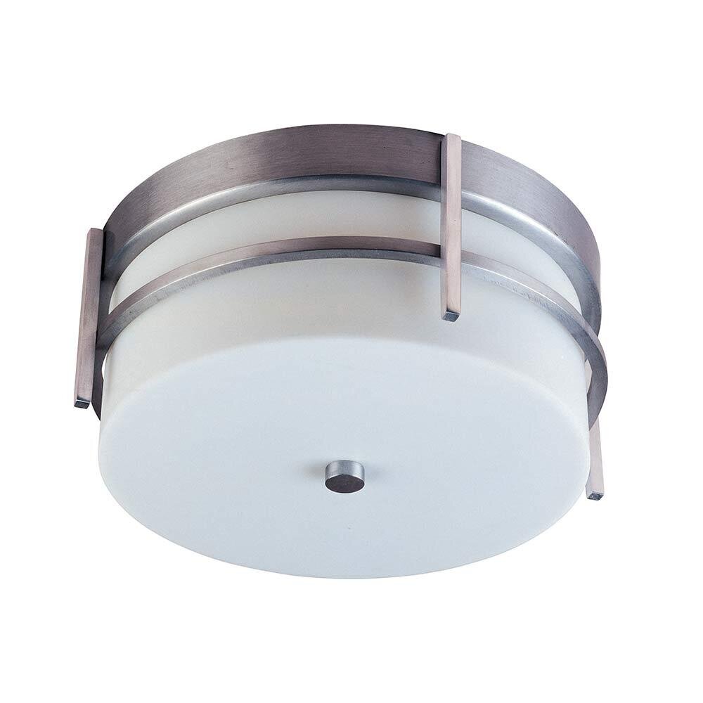 2-Light LED Outdoor Ceiling Mount in Brushed Metal