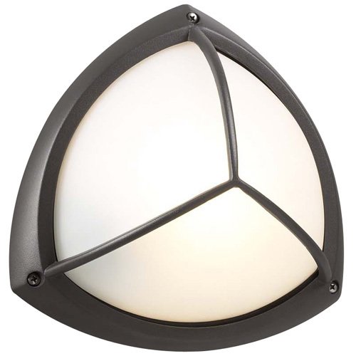 CFL 10" Exterior Light in Bronze with Frost Glass in Bronze With Frost Glass