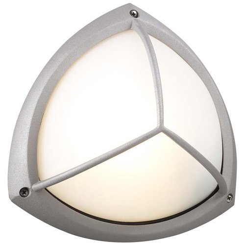 CFL 10" Exterior Light in Silver with Frost Glass in Silver With Frost Glass