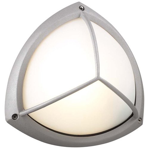 10" Exterior Light in Silver with Frost Glass in Silver With Frost Glass